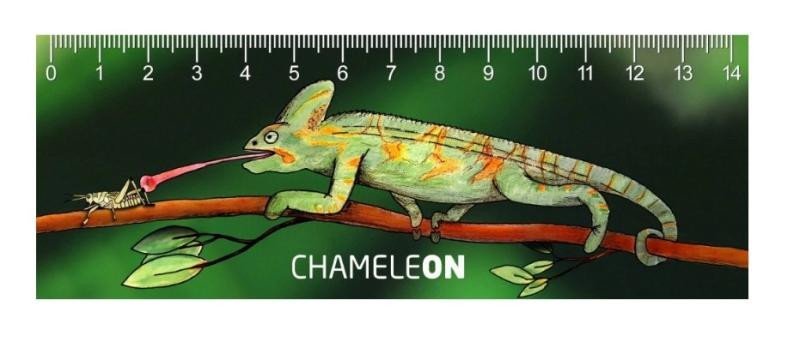 Levně Pravítko 3D - Chameleon