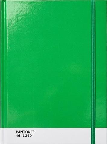 Levně Pantone Zápisník tečkovaný L - Green 16-6340