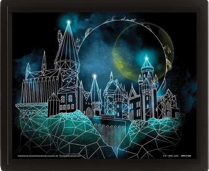 Levně Harry Potter Obraz 3D - Bradavice - EPEE Merch - Pyramid