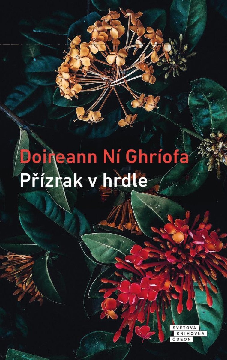 Přízrak v hrdle - Ghríofa Doireann Ní