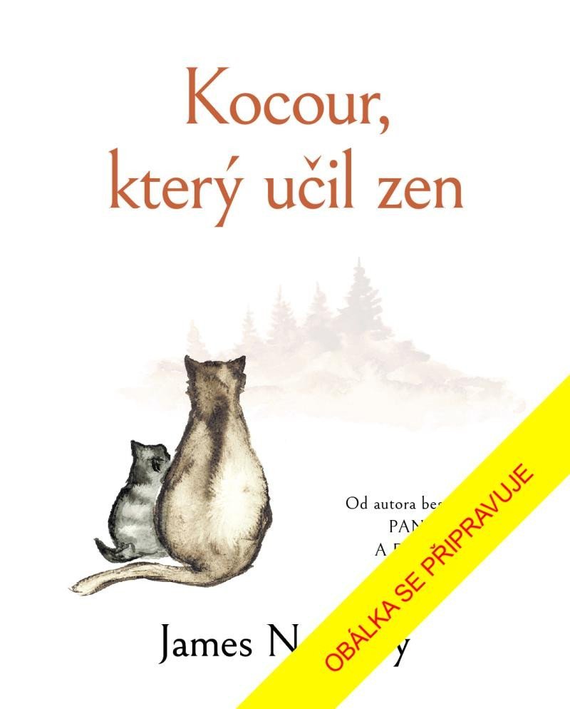 Levně Kocour, který učil zen - James Norbury