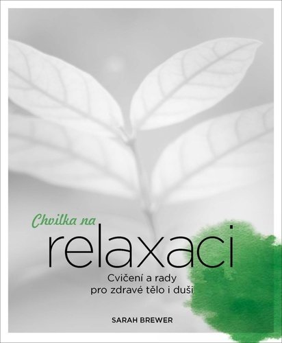 Levně Chvilka na relaxaci - Cvičení a rady pro zdravé tělo i duši - Sarah Brewerová