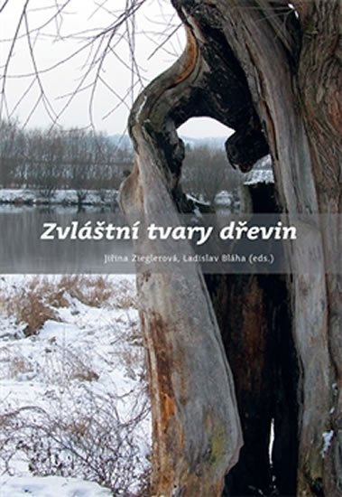 Levně Zvláštní tvary dřevin - Ladislav Bláha