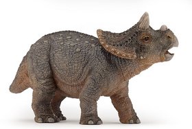 Levně Triceratops mládě