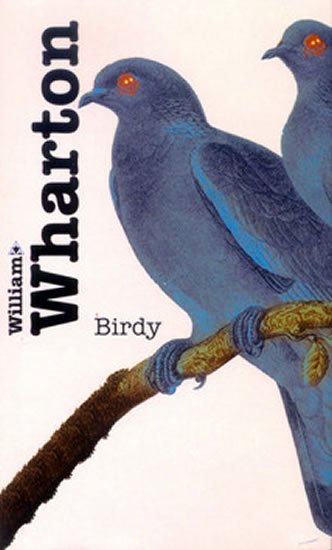 Levně Birdy - William Wharton