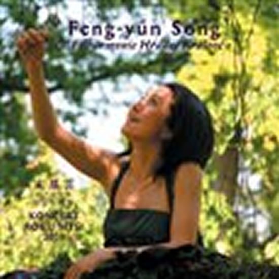 Levně Koncert roku myši 2008 - CD - Song Feng-yűn