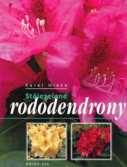 Levně Stálezelené rododendrony - Karel Heike