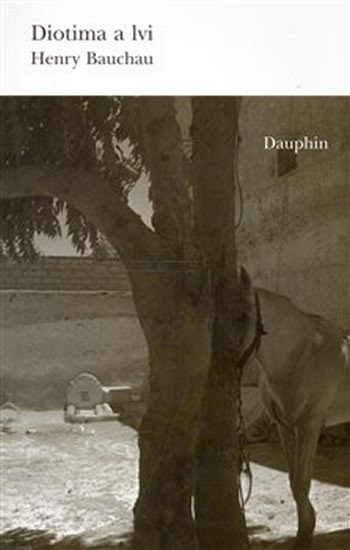 Levně Diotima a lvi - Henry Bauchau