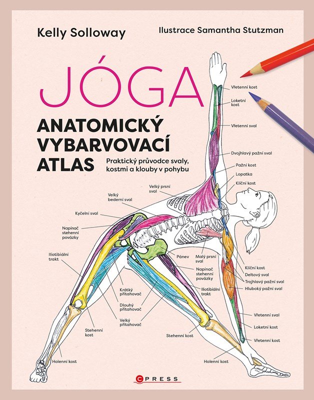 Levně Jóga - Anatomický vybarvovací atlas - Kelly Solloway