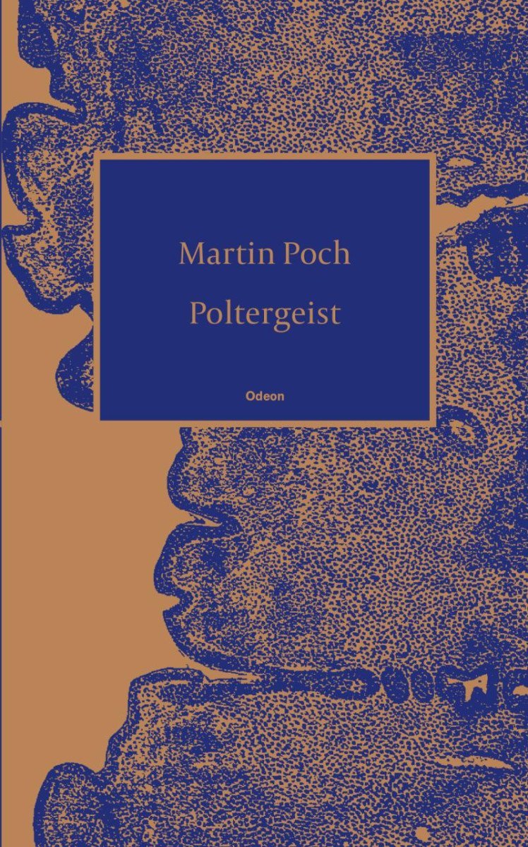 Levně Poltergeist - Martin Poch