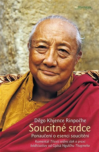 Soucitné srdce. Ponaučení o esenci soucítění - Dilgo Khjence Rinpočhe