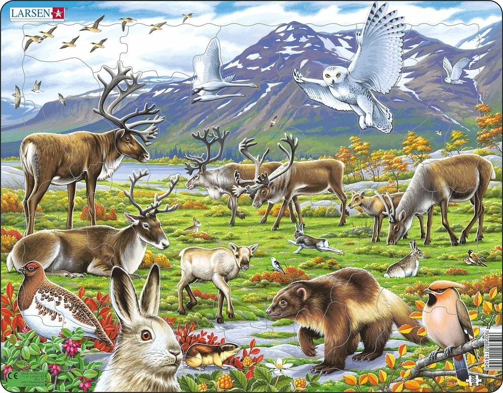 Levně Puzzle MAXI - Zvířata ve stepi/50 dílků - Larsen