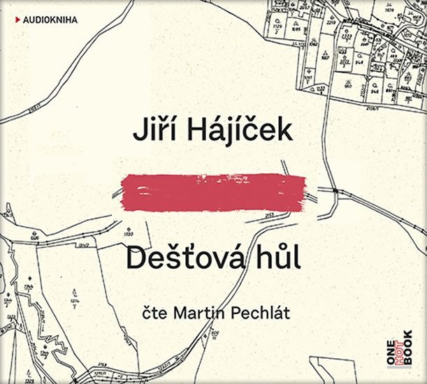 Levně Dešťová hůl - CDmp3 (Čte Martin Pechlát) - Jiří Hájíček