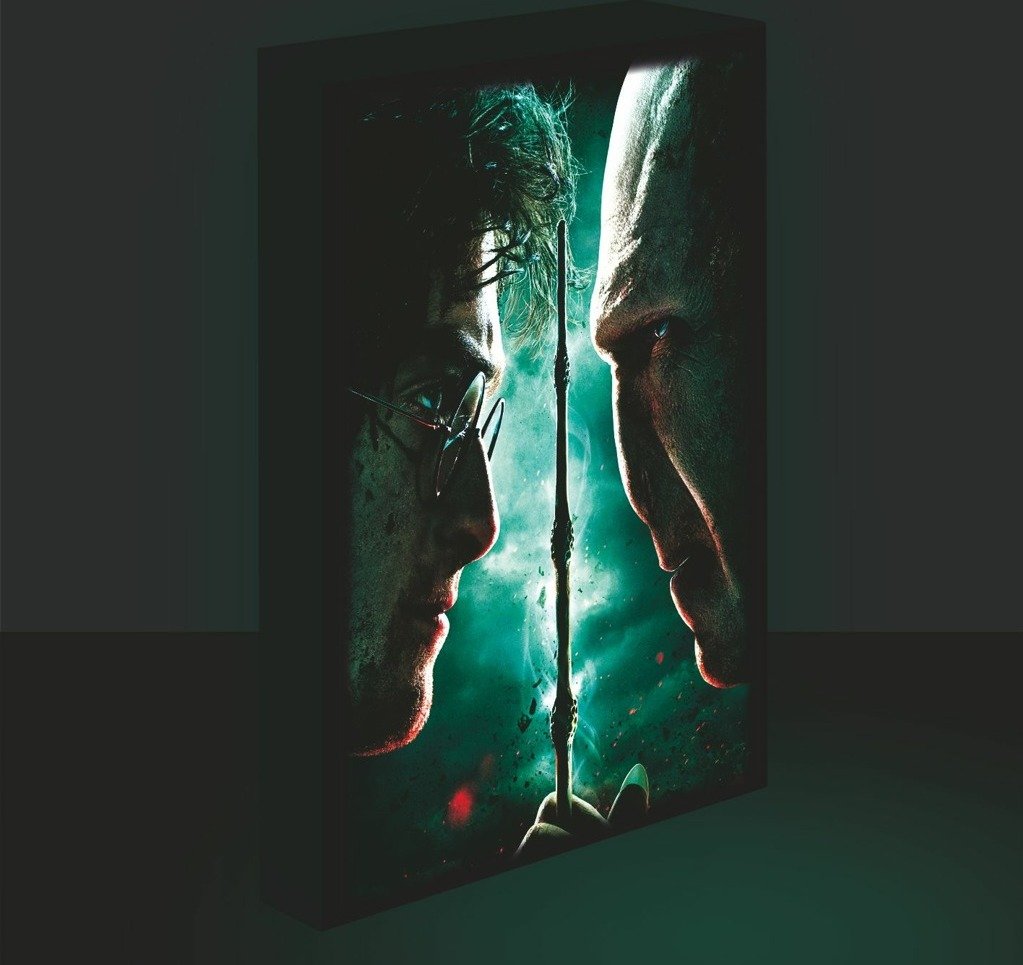 Levně Harry Potter obraz LED svítící 30x40 cm - Harry vs Voldemort - EPEE