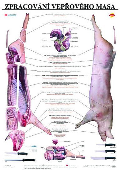 Levně Plakát - Zpracování vepřového masa