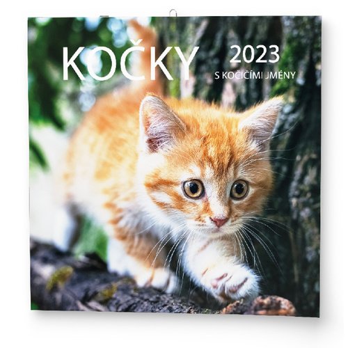 Kočky 2023 - nástěnný kalendář