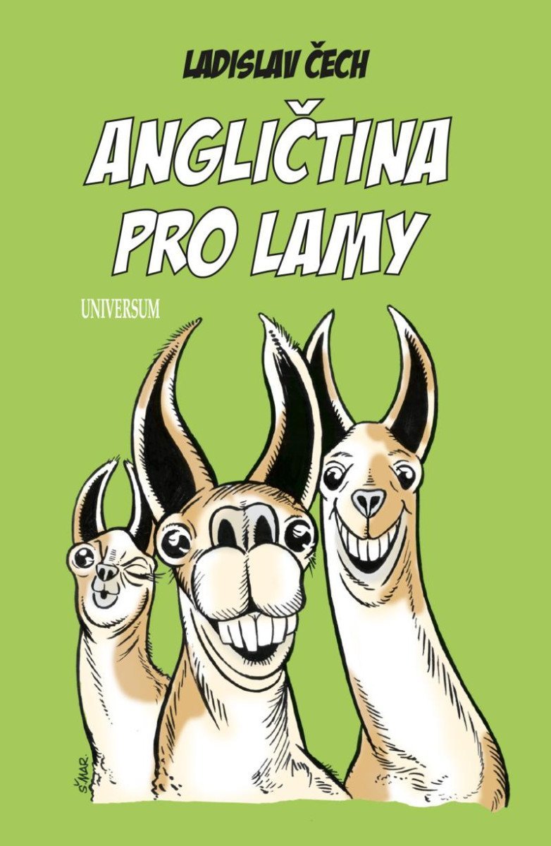 Levně Angličtina pro lamy, 2. vydání - Ladislav Čech