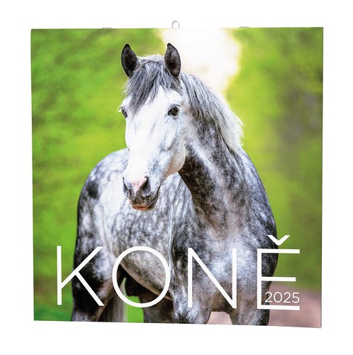 Levně Koně 2025 - nástěnný kalendář