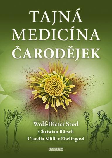 Tajná medicína čarodějek - Wolf-Dieter Storl