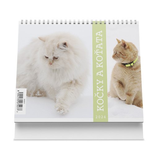 Levně Kočky a koťata 2024 - stolní kalendář