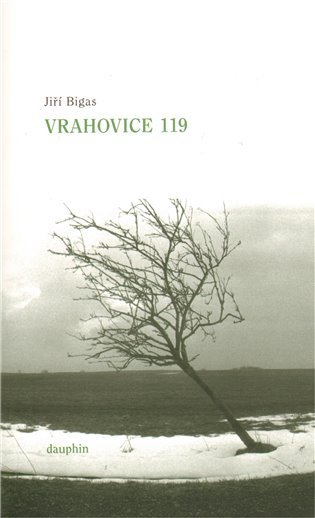 Levně Vrahovice 119 - Jiří Bigas