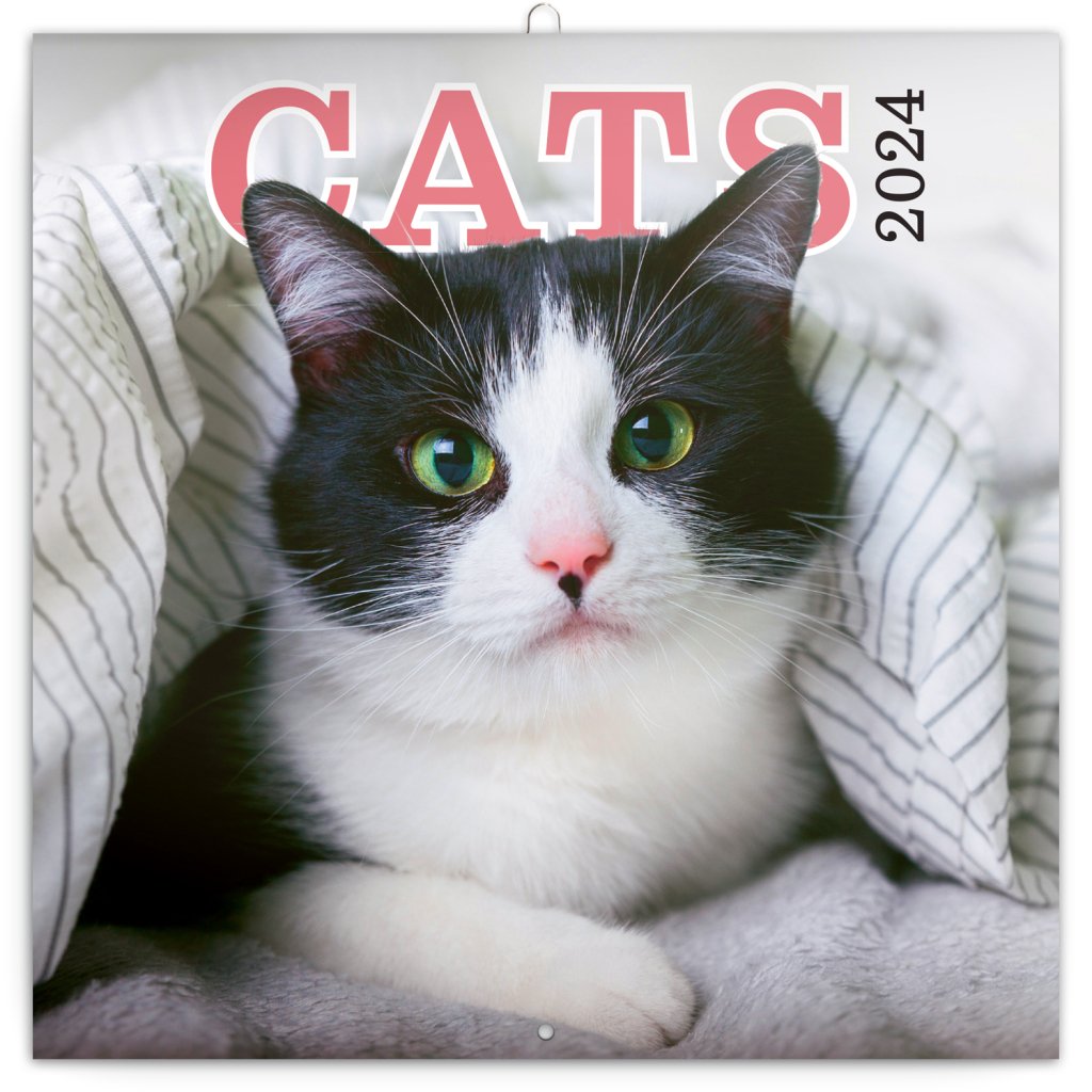 Levně Kalendář 2024 poznámkový: Kočky, 30 × 30 cm
