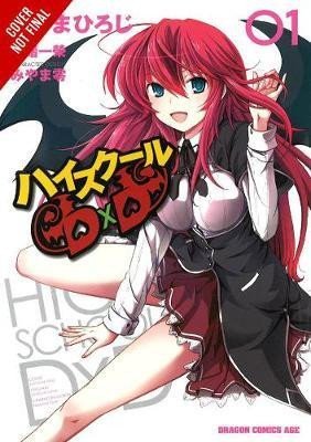 Levně High School DxD 1 - Ichiei Ishibumi