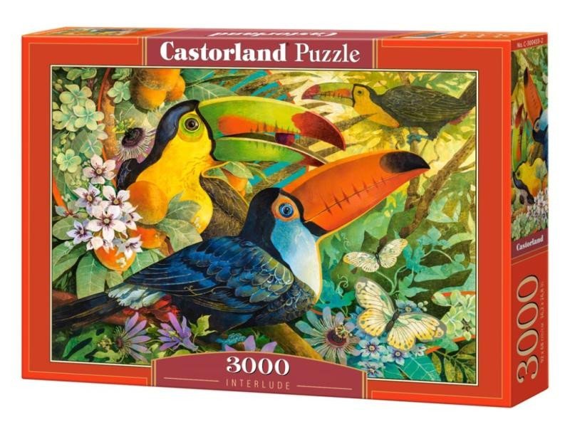 Levně Castorland Puzzle - Tukani 3000 dílkú