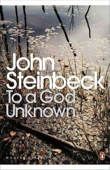 Levně To a God Unknown - John Steinbeck
