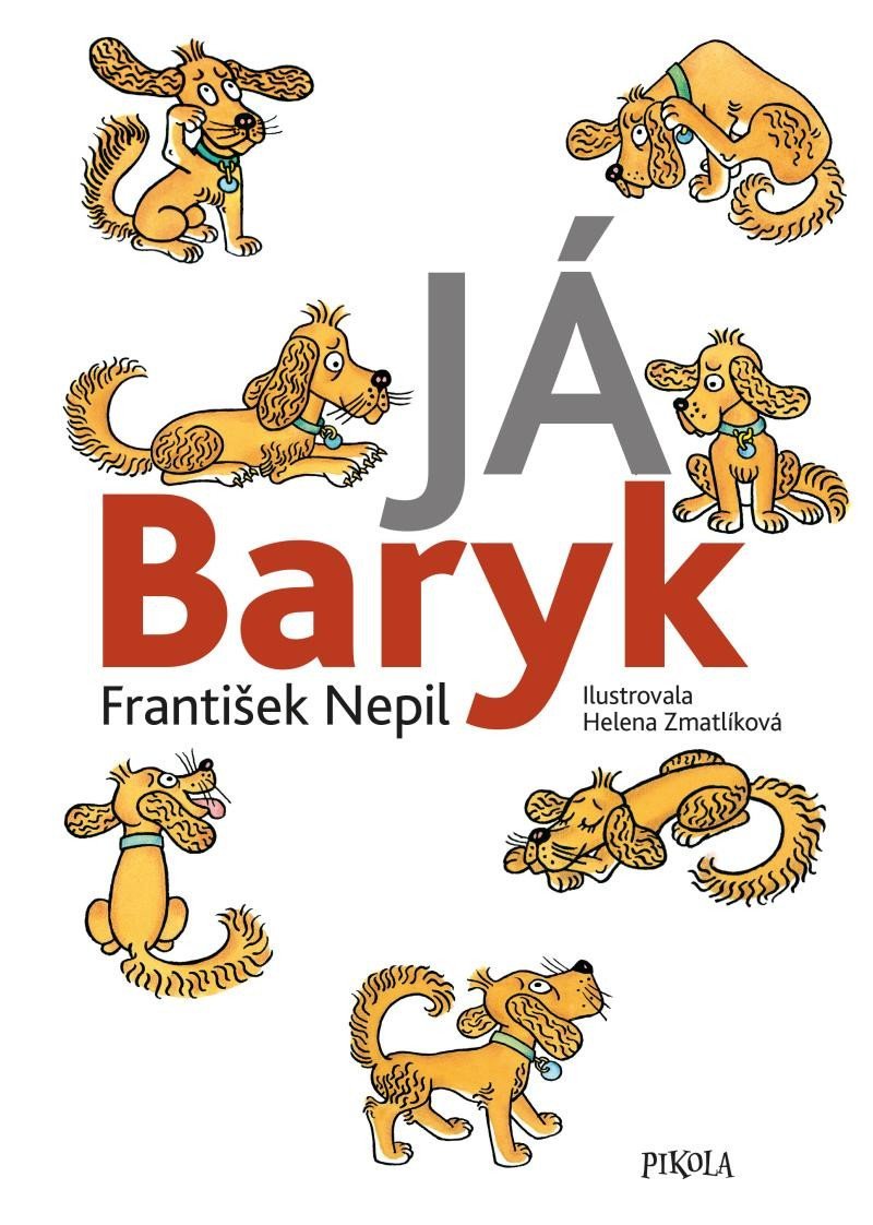Levně Já Baryk, 7. vydání - František Nepil