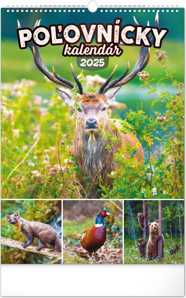 Levně NOTIQUE Nástenný kalendár Poľovnícky 2025, 33 x 46 cm