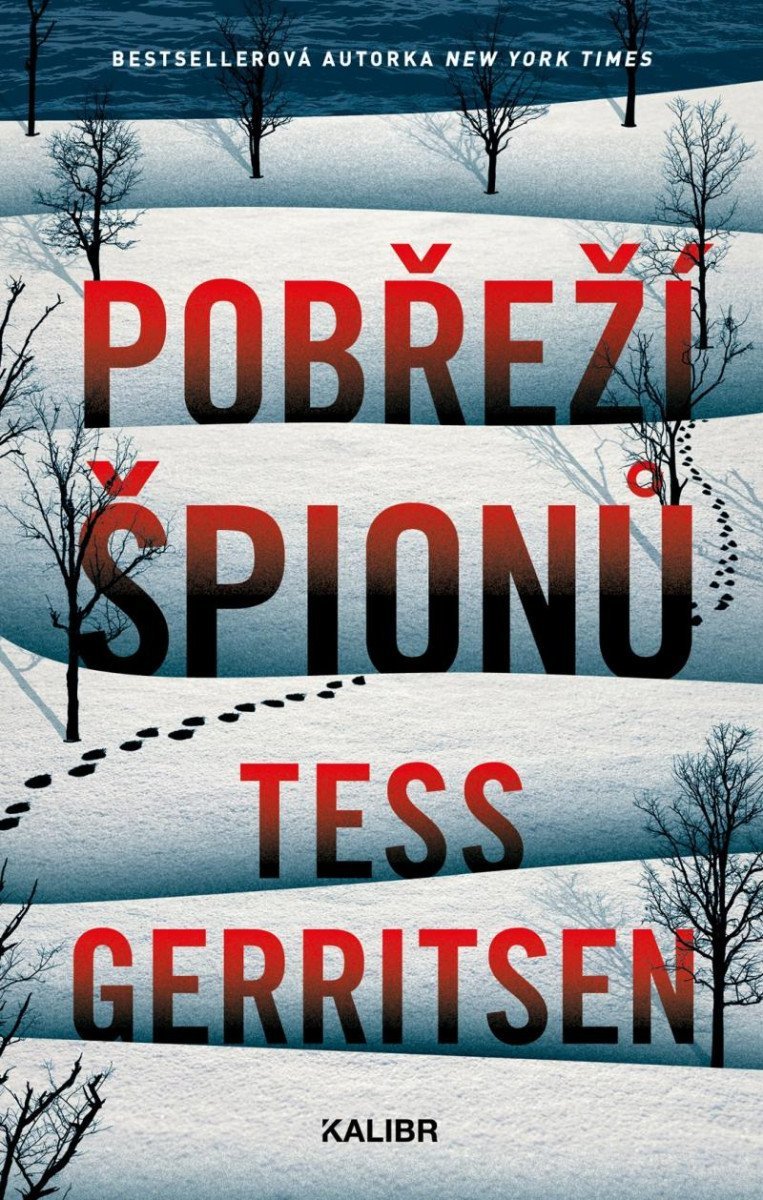 Levně Pobřeží špionů - Tess Gerritsen