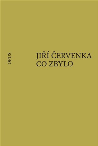 Levně Co zbylo - Jiří Červenka