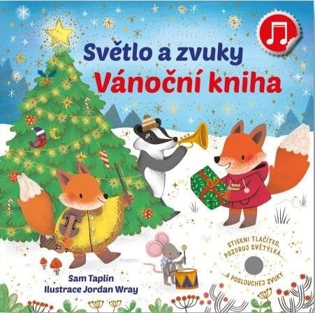 Levně Světlo a zvuky Vánoční kniha - Sam Taplin