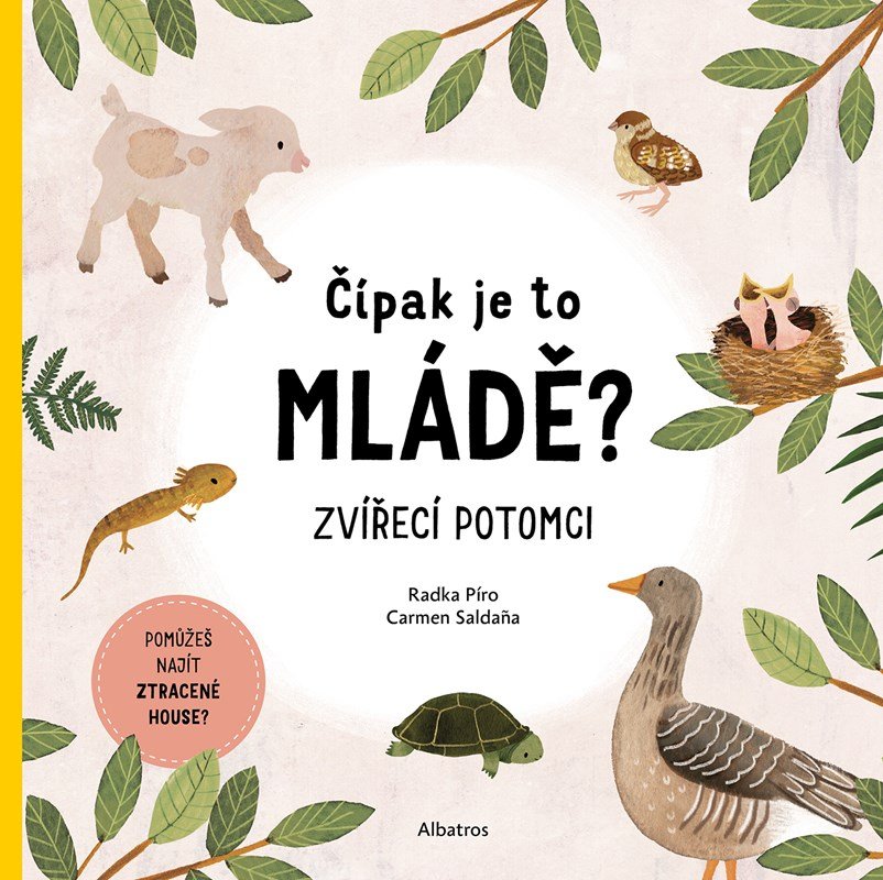 Levně Čípak je to mládě? - Radka Píro