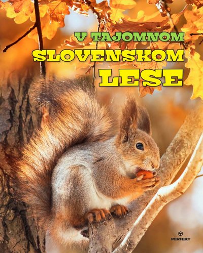 Levně V tajomnom slovenskom lese - Roman Jadroň; Miroslav Saniga