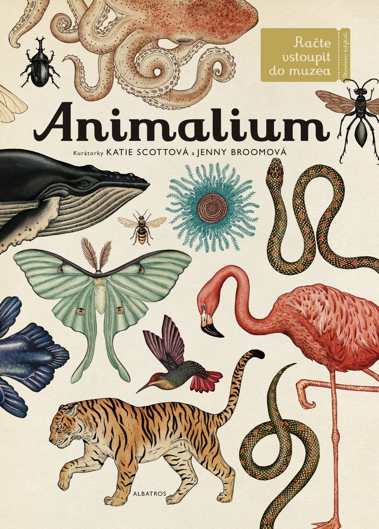 Levně Animalium - Jenny Broom