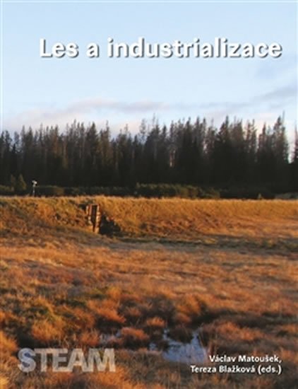 Levně Les a industrializace - Václav Matoušek