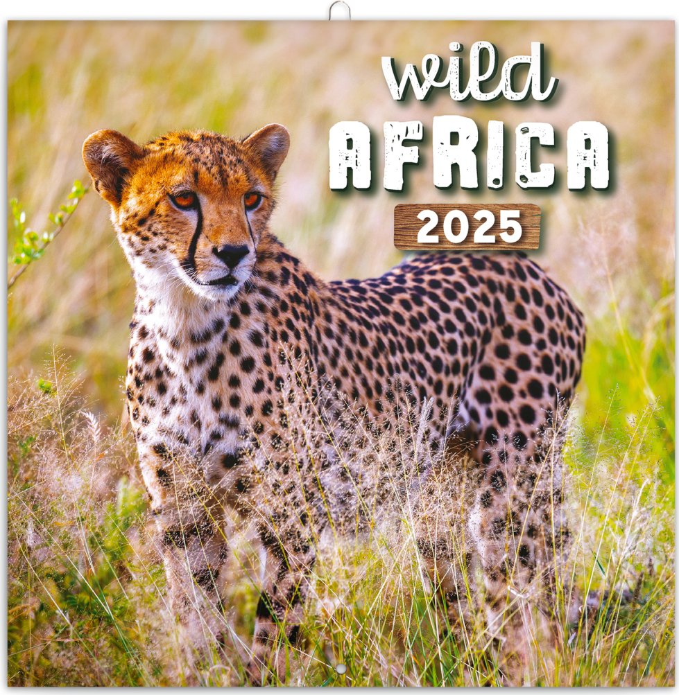 Levně Kalendář 2025 poznámkový: Divoká Afrika, 30 × 30 cm
