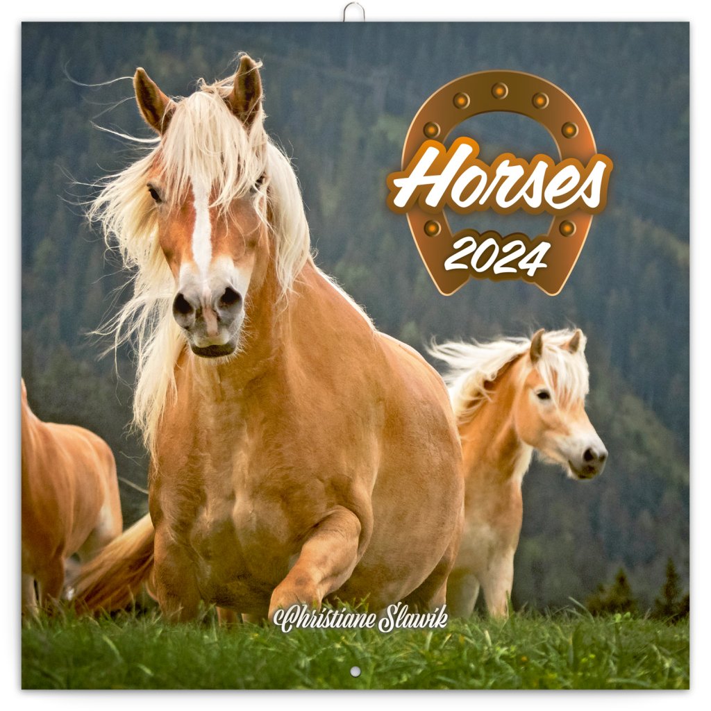 Levně Kalendář 2024 poznámkový: Koně - Christiane Slawik, 30 × 30 cm