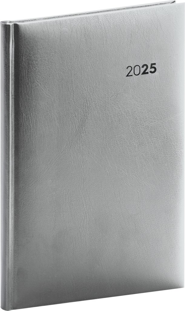 NOTIQUE Týdenní diář Balacron 2025, stříbrný, 18 x 25 cm