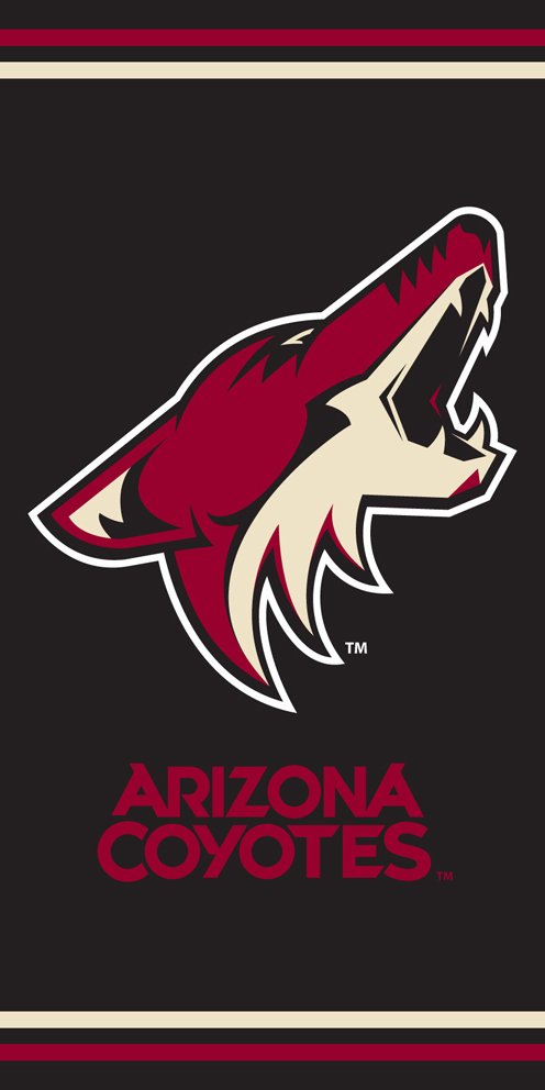 Levně Osuška NHL Arizona Coyotes