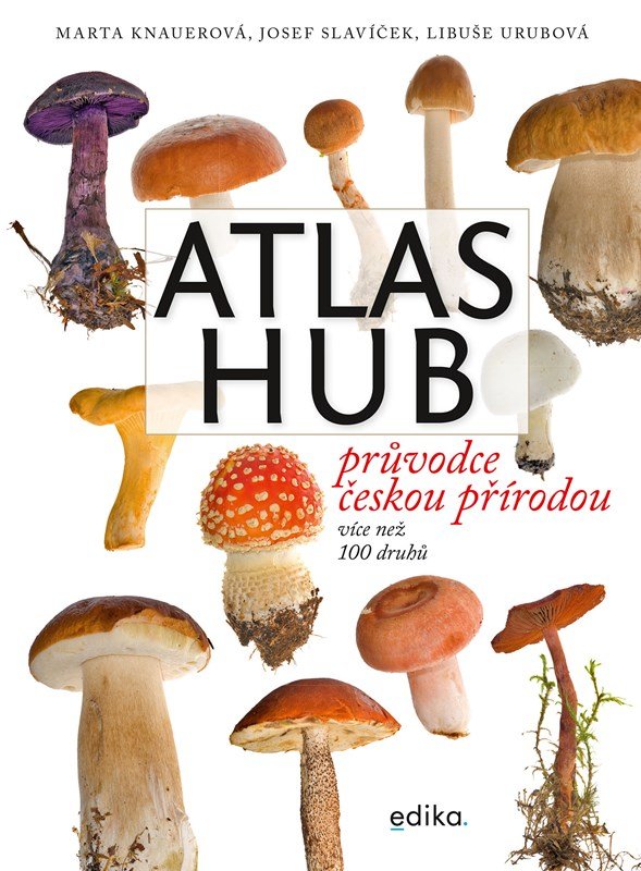 Atlas hub - Marta Knauerová - main (0)