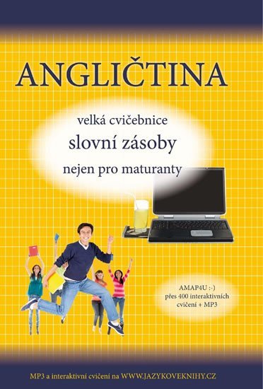 Levně Angličtina velká cvičebnice slovní zásoby nejen pro maturanty - Štěpánka Pařízková