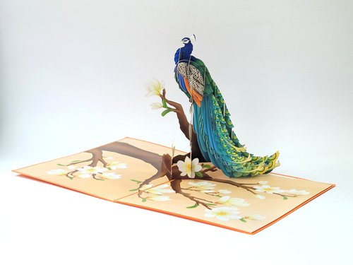 Levně 3D přání Peacock Glory