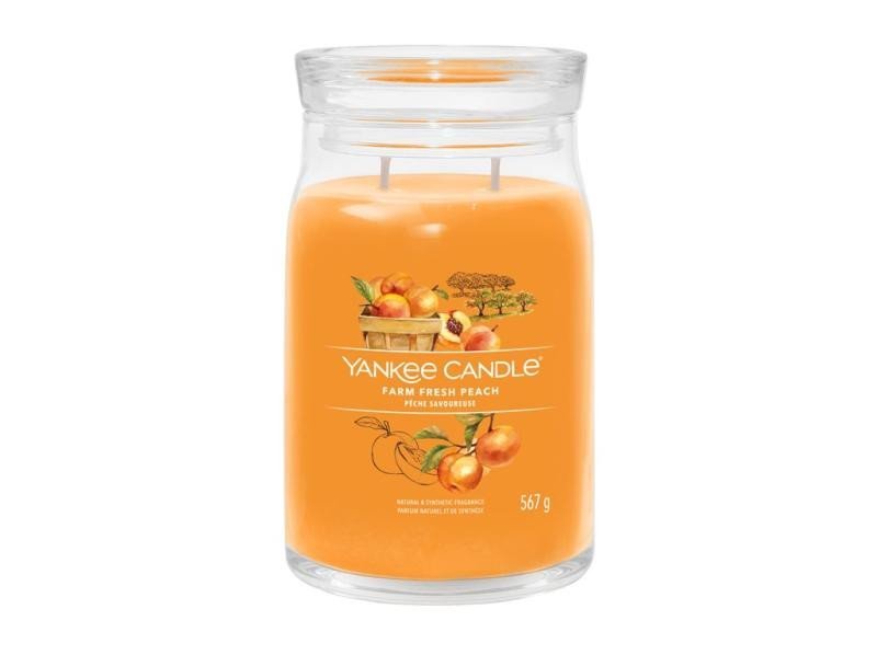Levně YANKEE CANDLE Farm Fresh Peach svíčka 567g / 2 knoty (Signature velký)