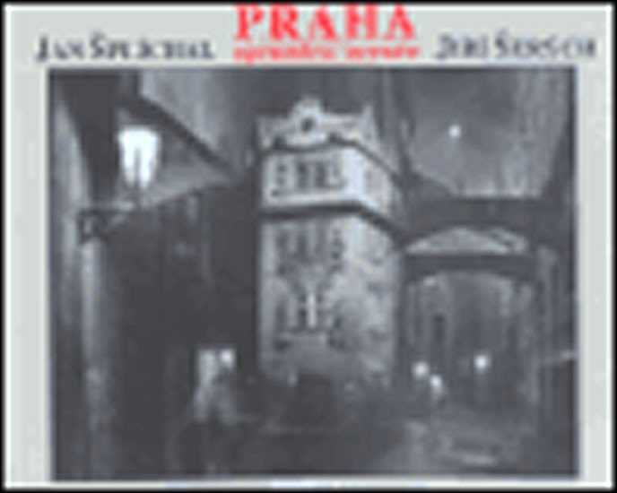 Praha uprostřed proudu - autorů kolektiv