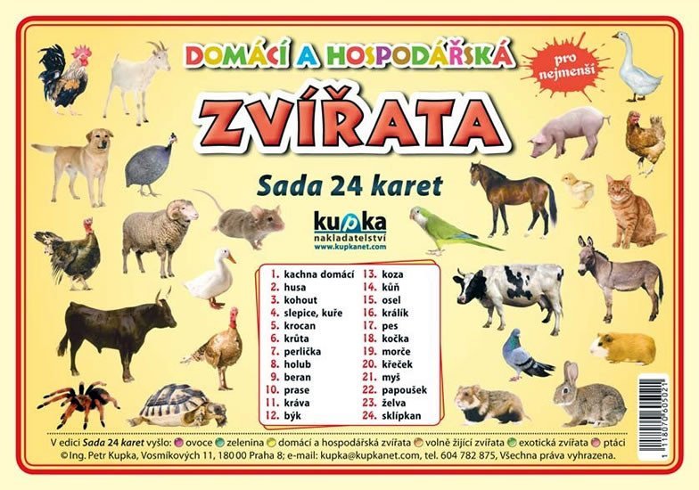 Domácí a hospodářská zvířata - Sada 24 karet - Petr Kupka