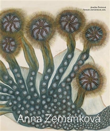 Anna Zemánková - Anežka Šimková