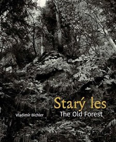 Levně Starý les / The Old Forest - Vladimír Bichler
